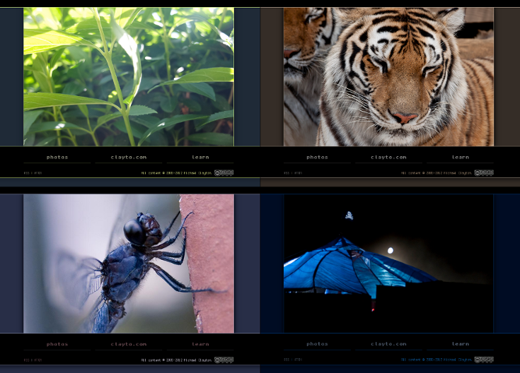 example of color theme matching images