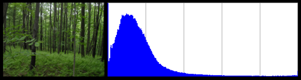 Forest blue  pixel distribution