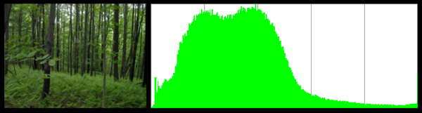 Forest green pixel distribution