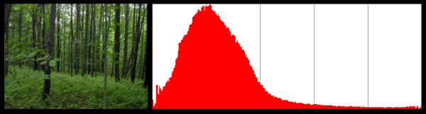 Forest red   pixel distribution